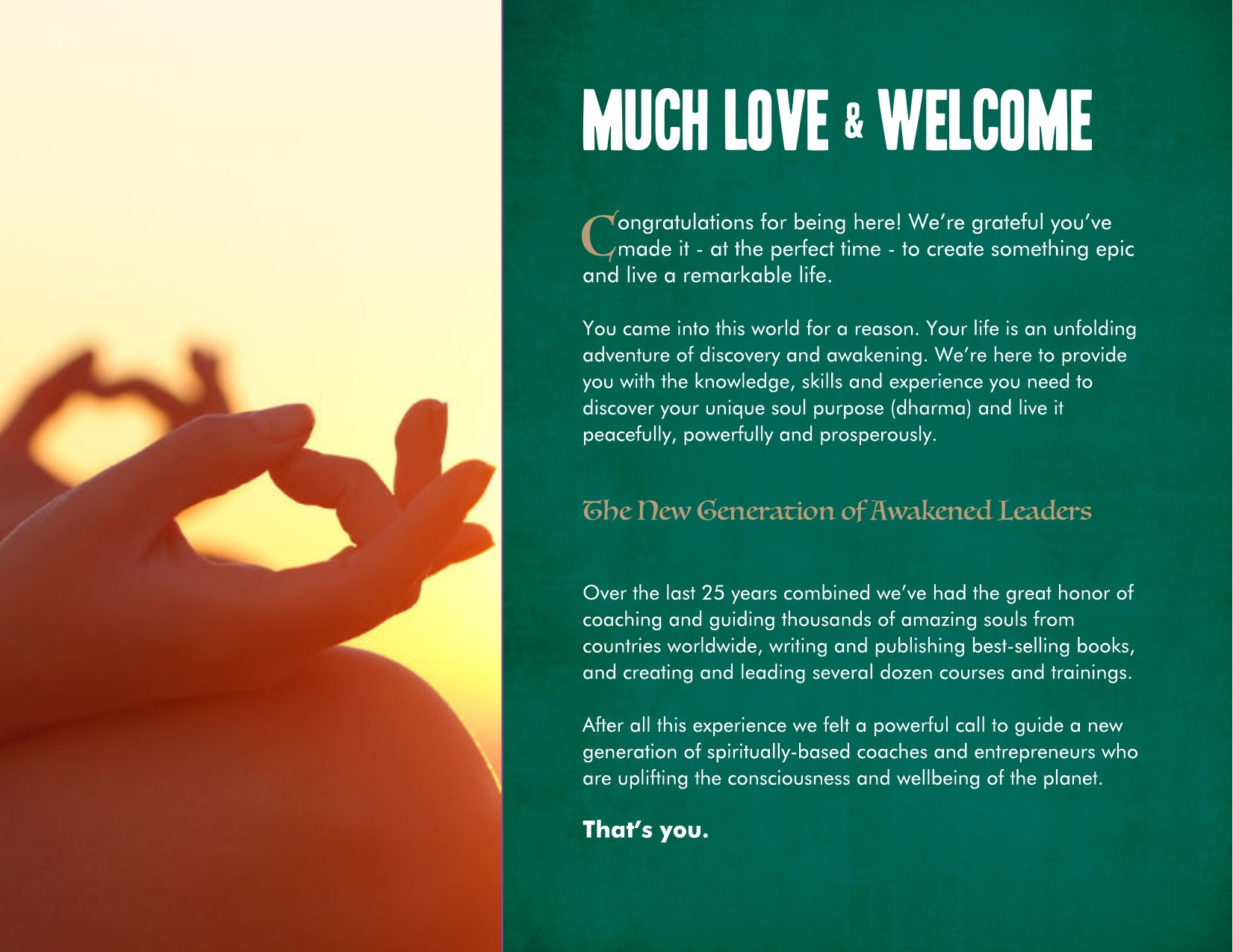 Awakened Academy brochure, page 3 of 46