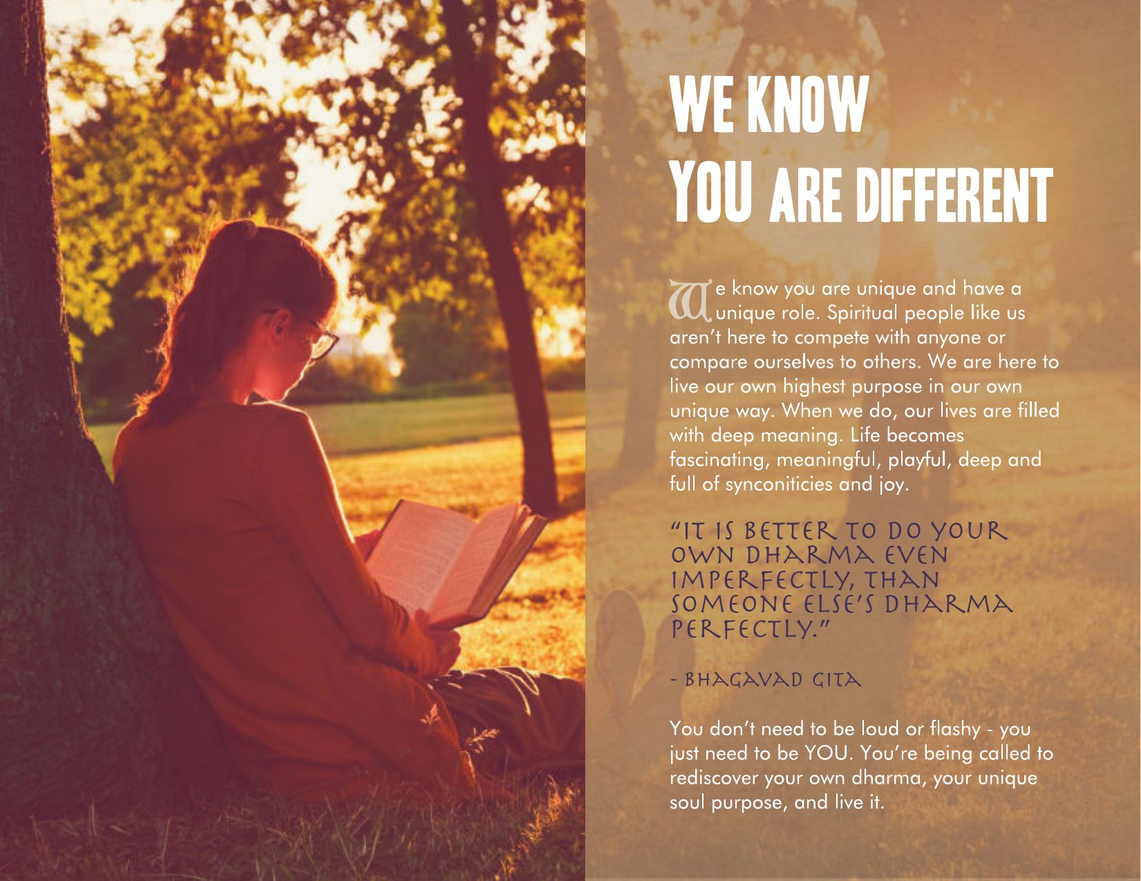 Awakened Academy brochure, page 8 of 46