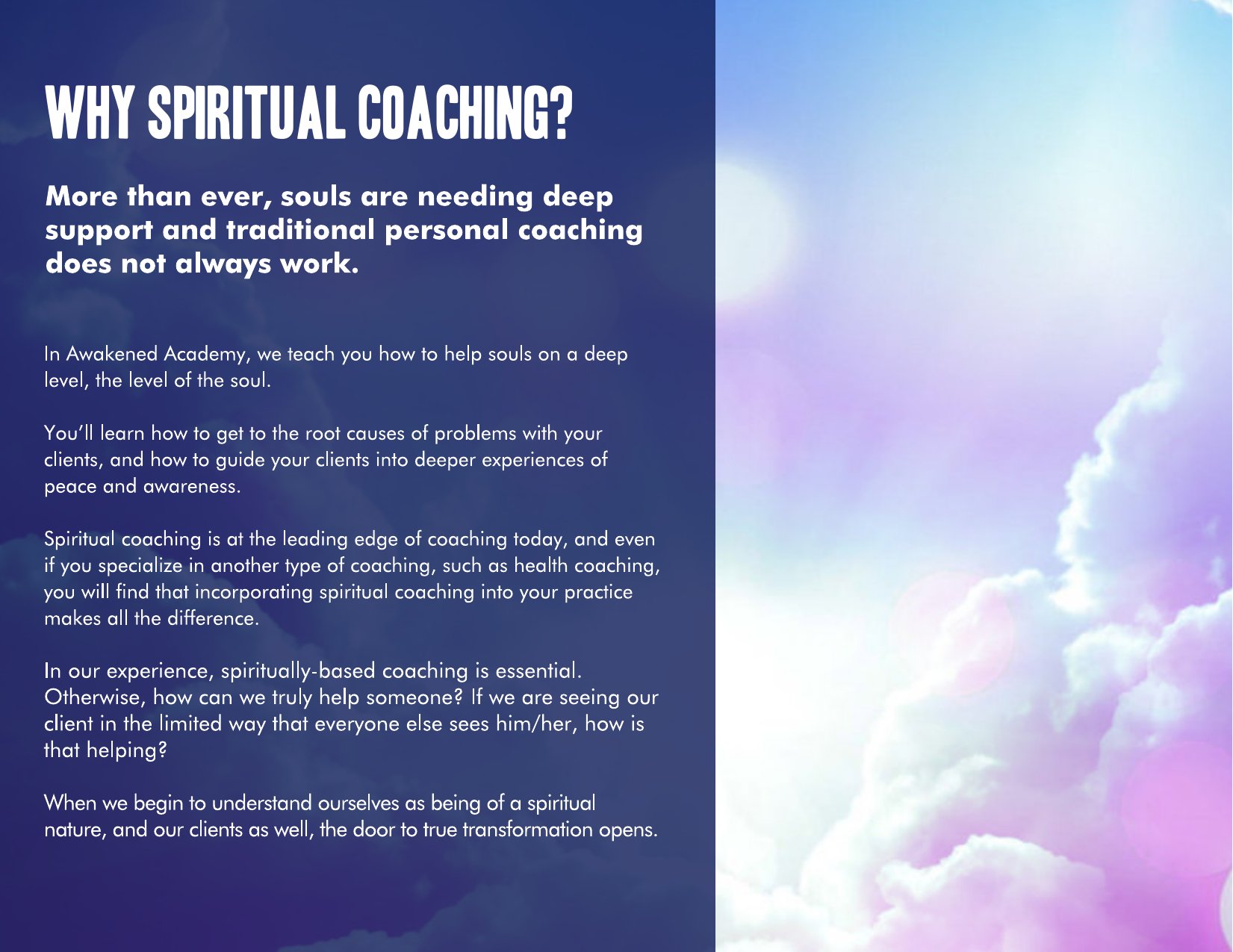 Awakened Academy brochure, page 16 of 46