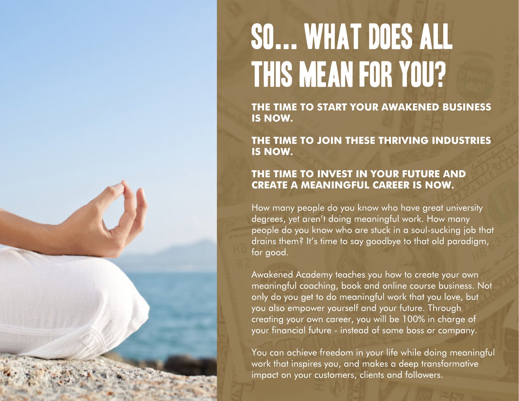 Awakened Academy brochure, page 22 of 46
