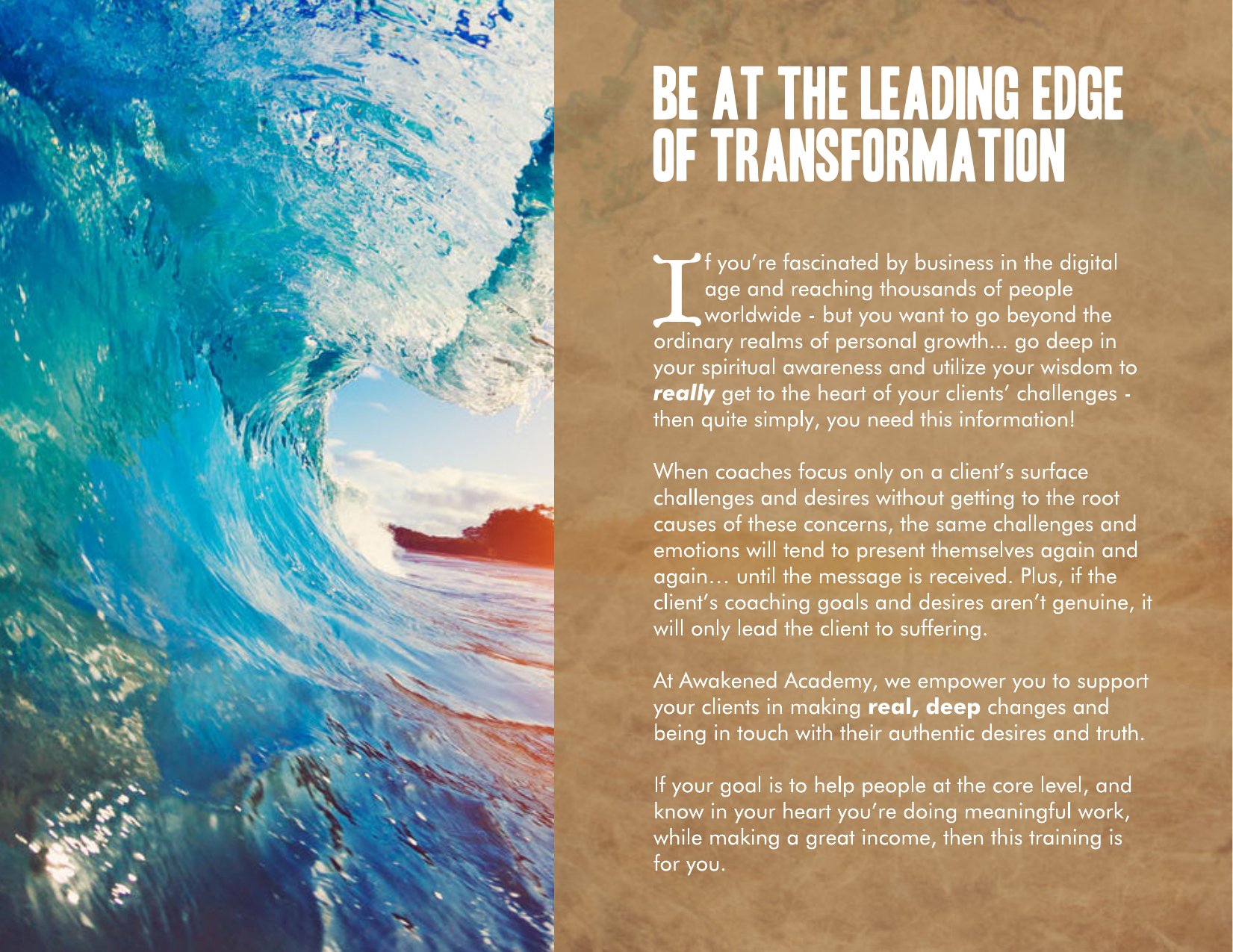 Awakened Academy brochure, page 30 of 46