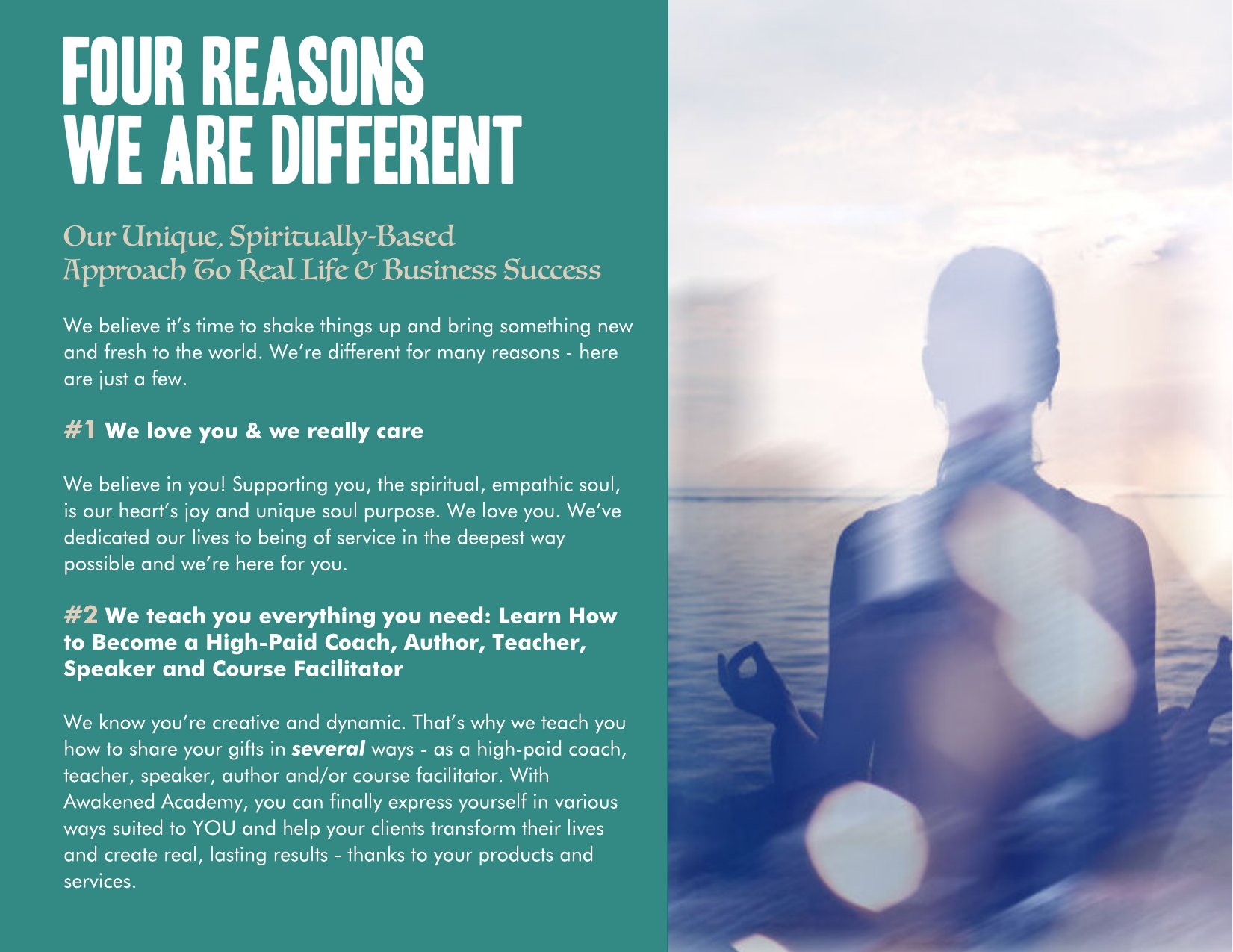 Awakened Academy brochure, page 31 of 46
