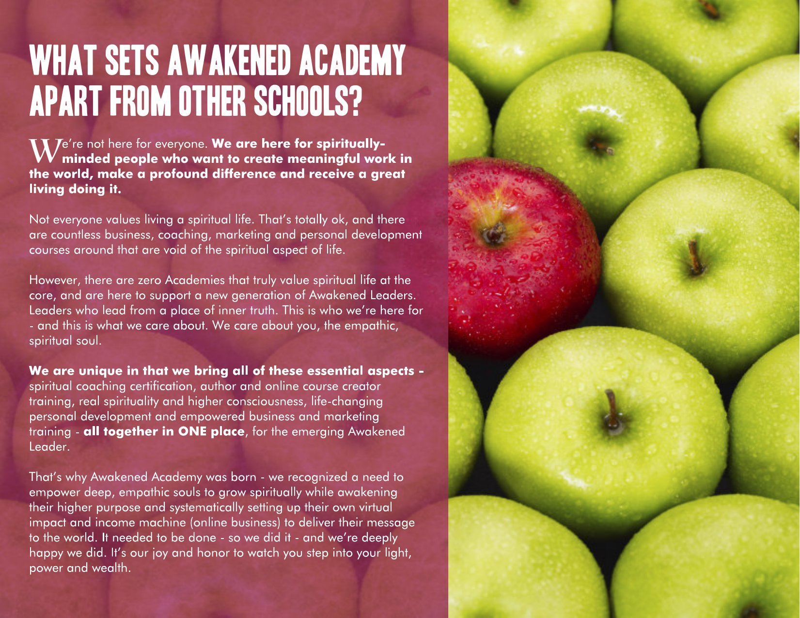 Awakened Academy brochure, page 33 of 46