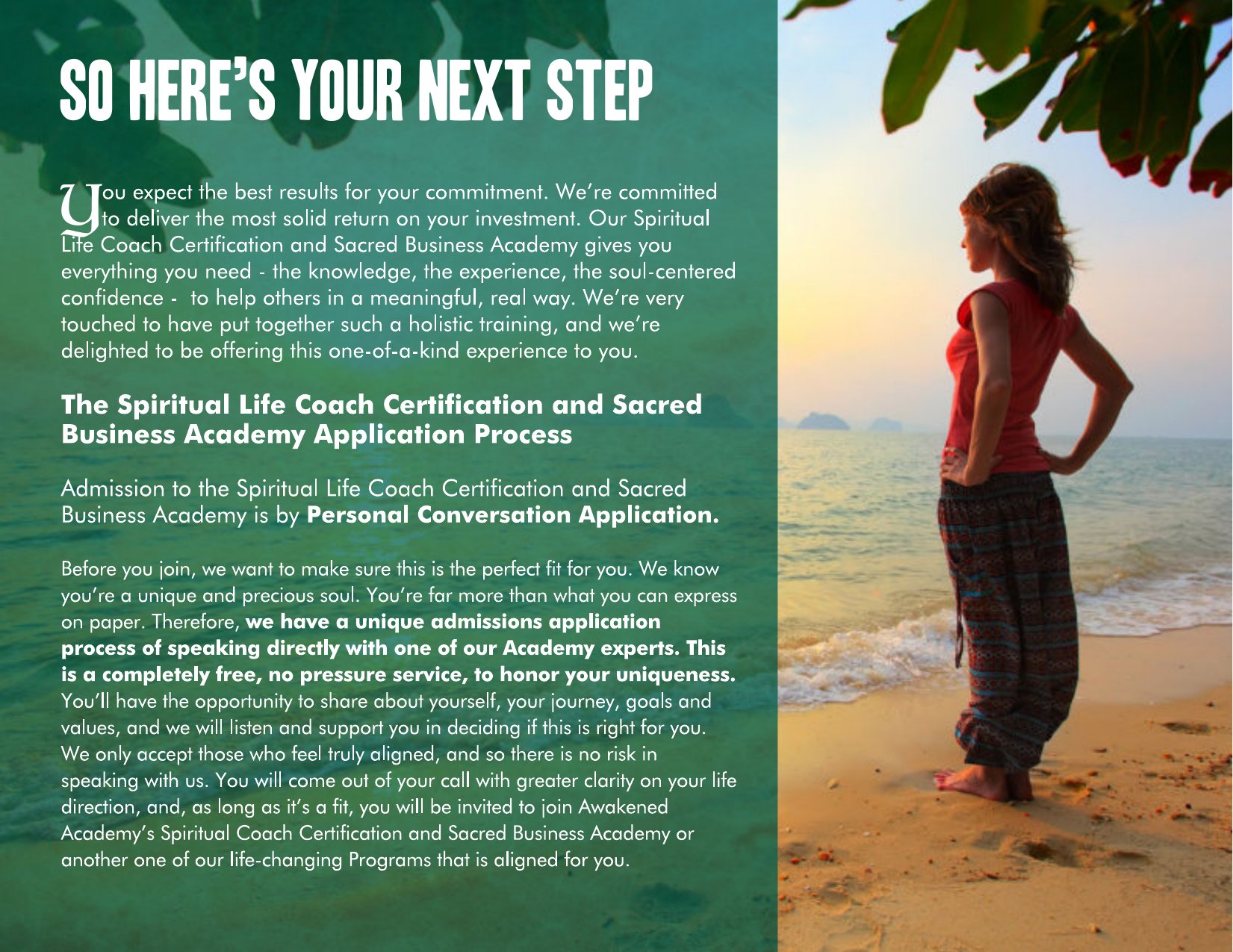 Awakened Academy brochure, page 36 of 46
