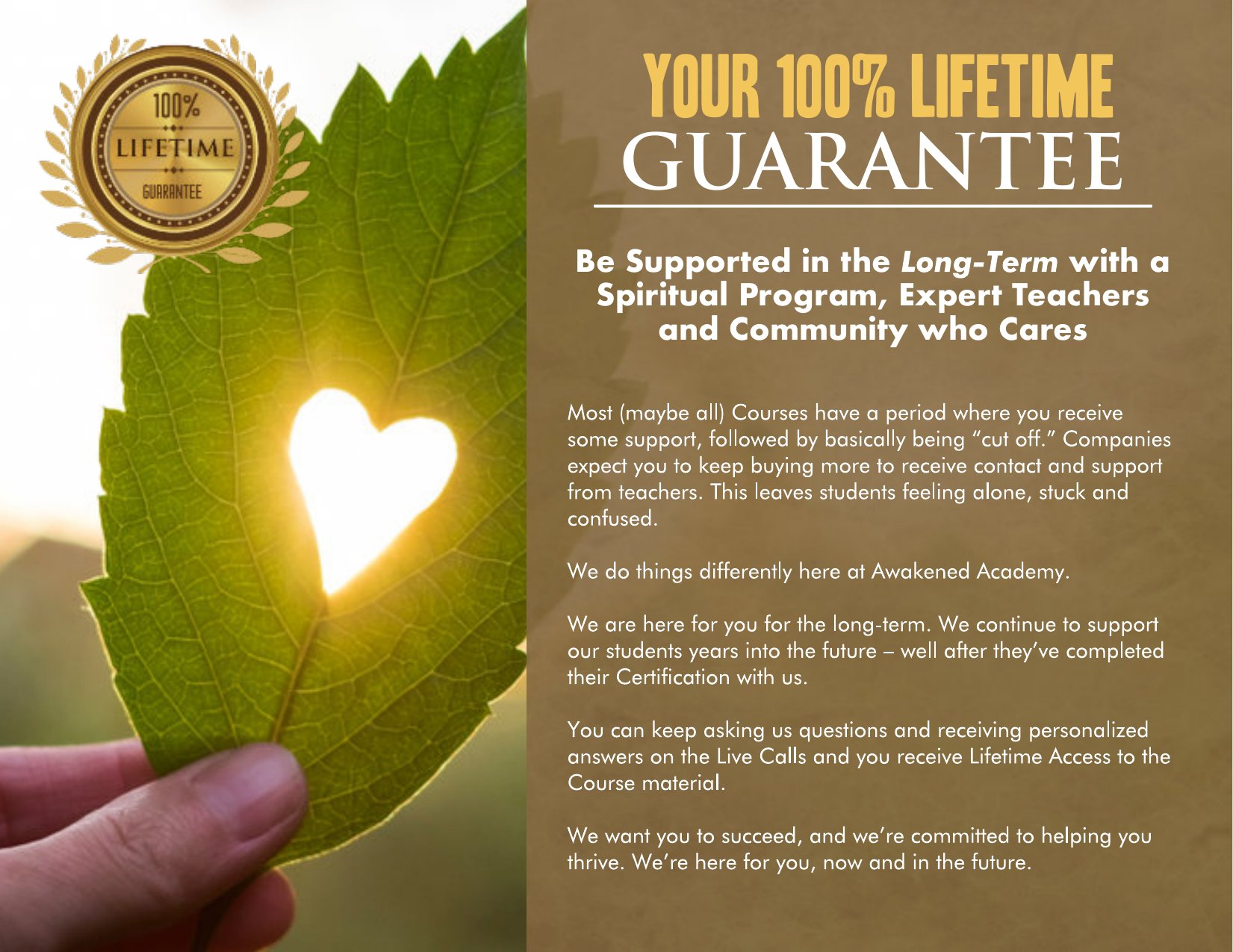 Awakened Academy brochure, page 40 of 46
