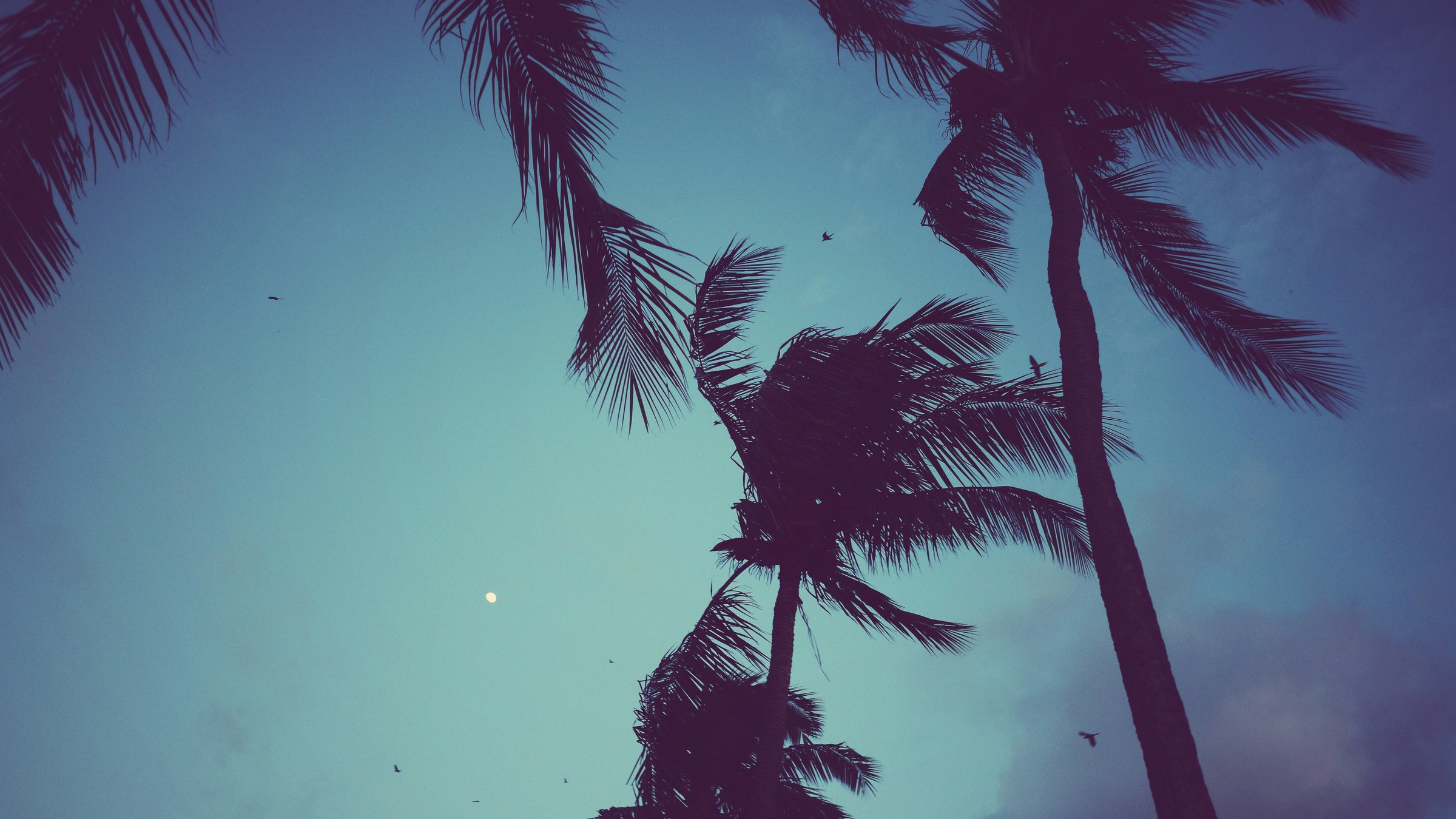 What to Do When Your Mind Won't Settle in Meditation