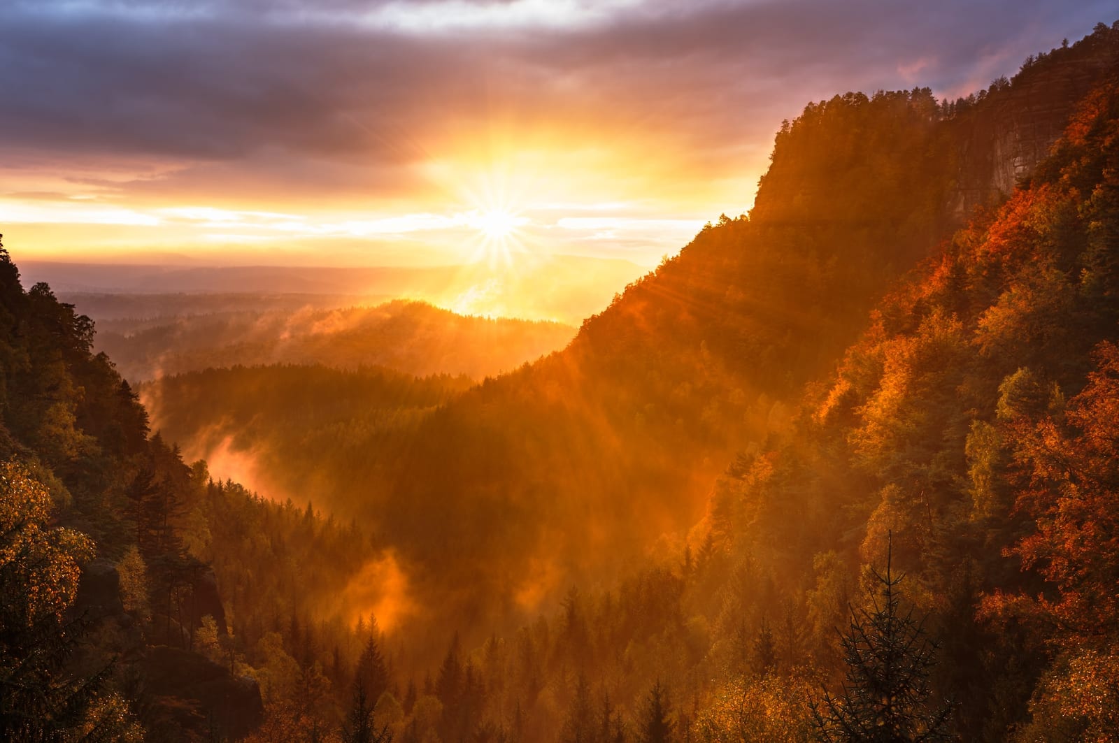 Holistic vs Spiritual vs Wellness Coaching: What's the Actual Difference?