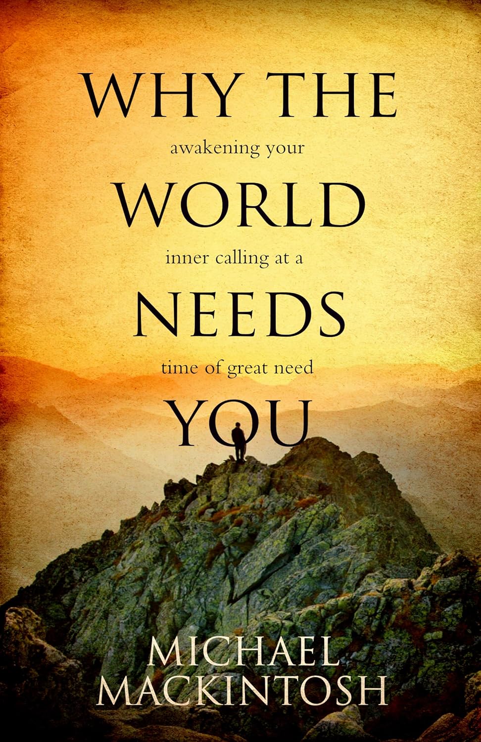 Why The World Needs You — book cover