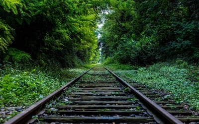 What to Do When You’re 1023 miles Down The Wrong Road